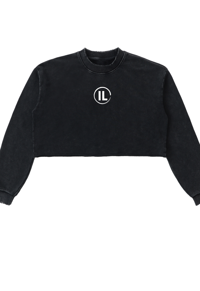 Snow Washed Raw Edge Cropped Sweatshirt