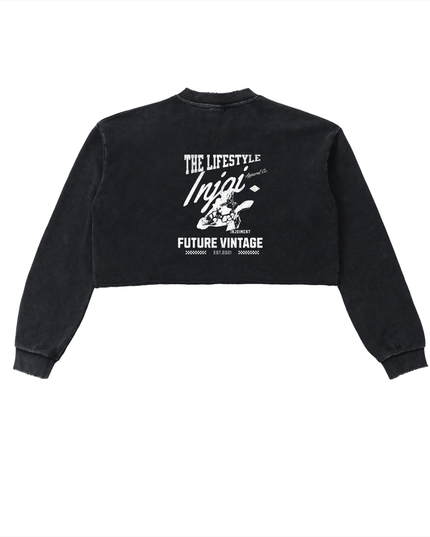 Snow Washed Raw Edge Cropped Sweatshirt