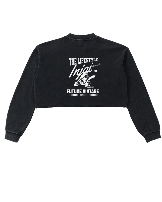 Snow Washed Raw Edge Cropped Sweatshirt